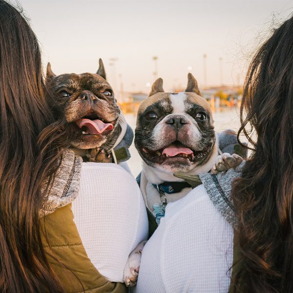 Página – Pet Friendly