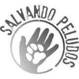 Logo Salvando peludos Logo Salvando peludos