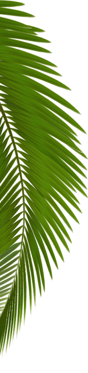 adorno-vegetal-2 adorno-vegetal-2