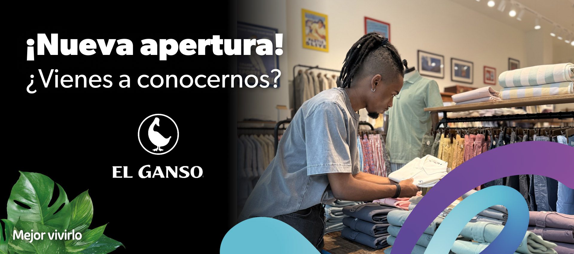 Apertura Ganso